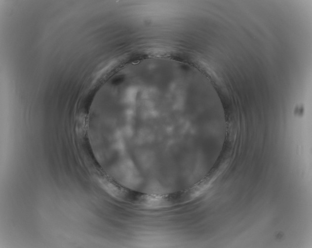 X0000091460093200709061806