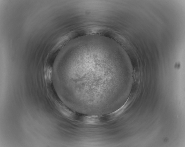 X0000091460094200709061806