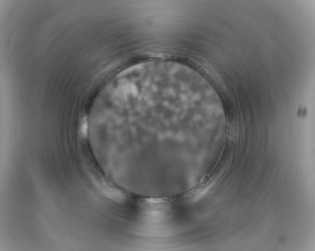 X0000091460095200709061806