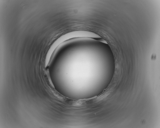 X0000091460096200709061806