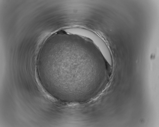 X0000091460097200709061805