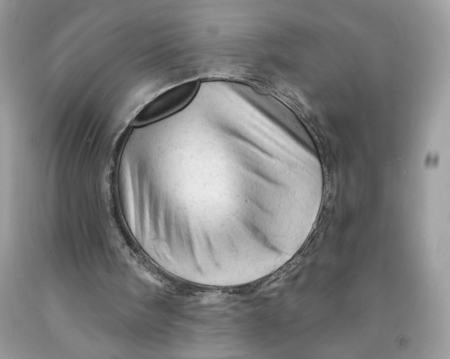 X0000091460098200709061805