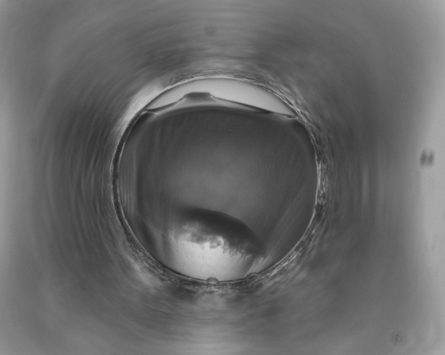X0000091460099200709061805