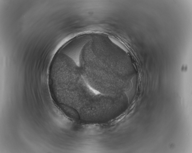 X0000091460100200709061805