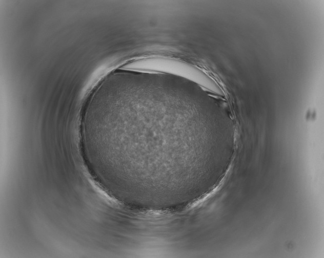 X0000091460101200709061805
