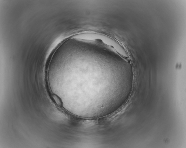 X0000091460102200709061805