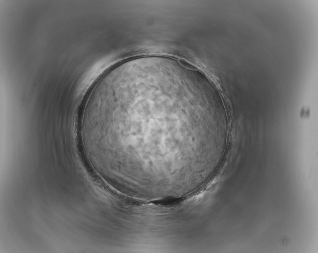 X0000091460103200709061805