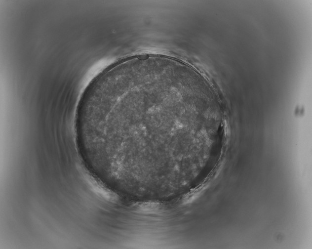 X0000091460104200709061805