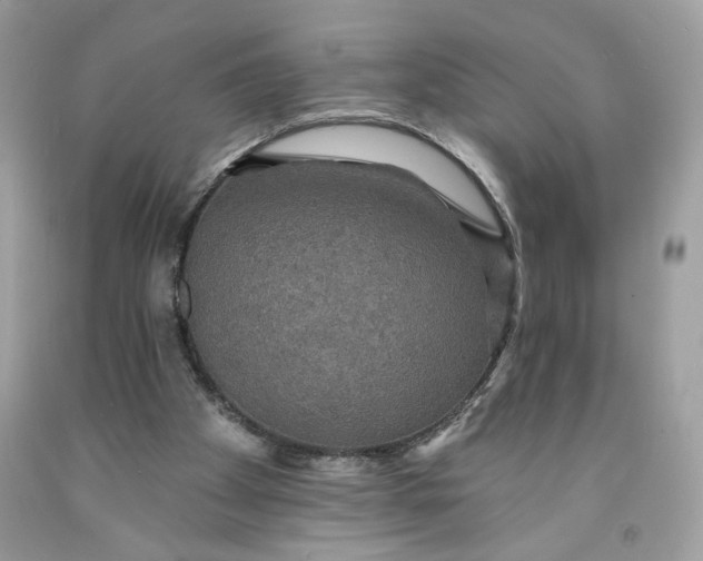 X0000091460105200709061805