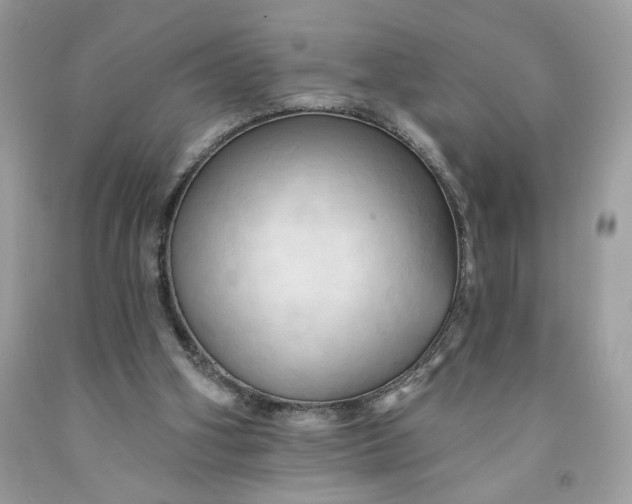 X0000091460106200709061805