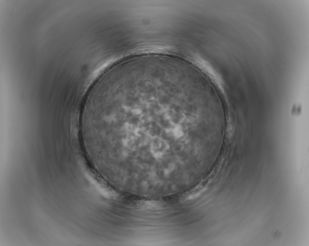 X0000091460107200709061805