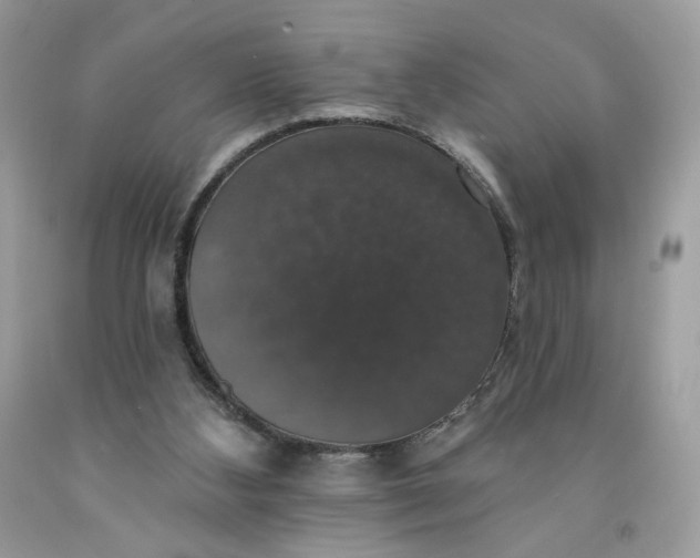 X0000091460108200709061805