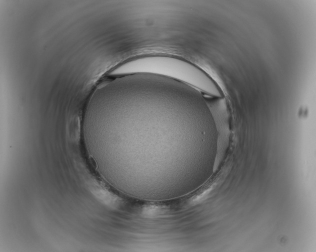 X0000091460109200709061805