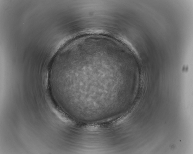 X0000091460110200709061805