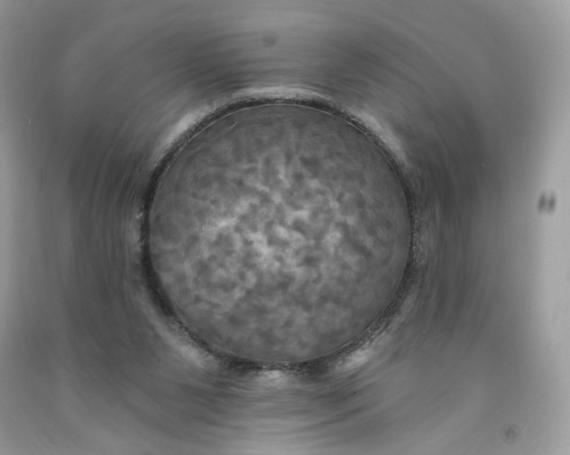 X0000091460111200709061805