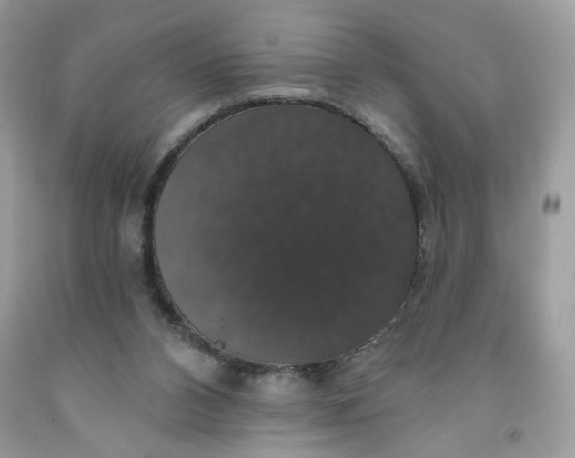 X0000091460112200709061805