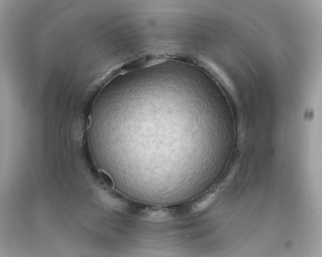 X0000091460113200709061805