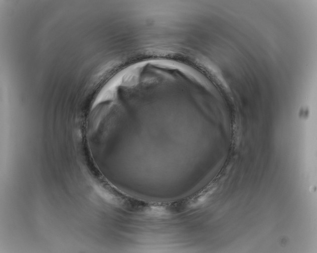 X0000091460114200709061805