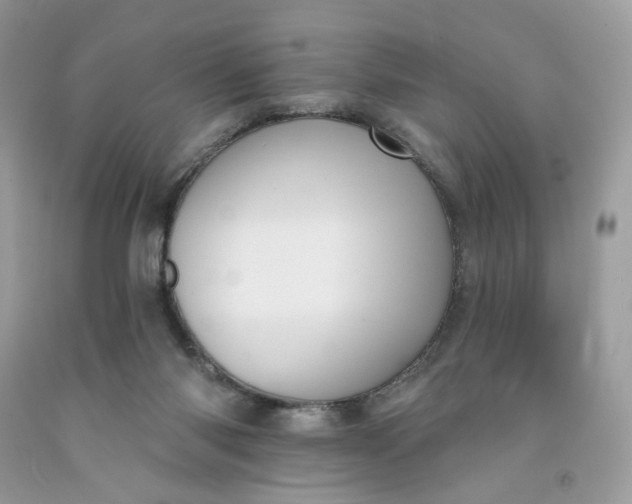 X0000091460118200709061805