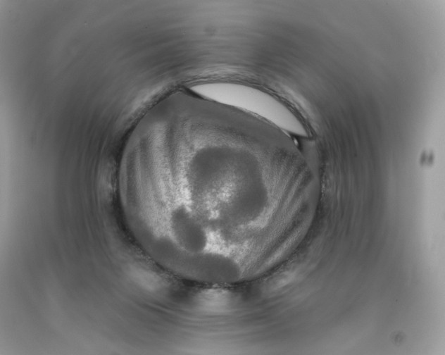 X0000091460119200709061805