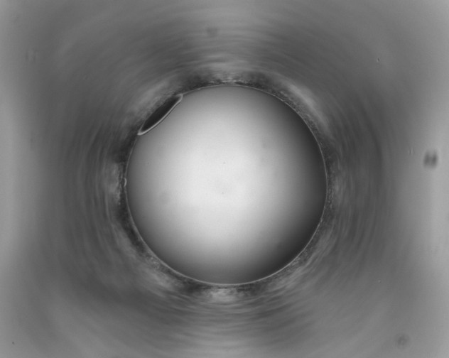 X0000091460121200709061805