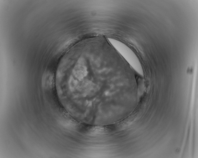 X0000091460123200709061805