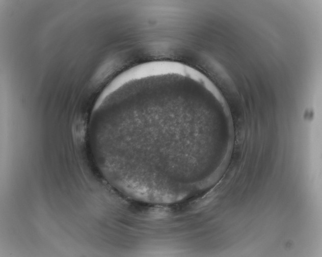 X0000091460124200709061805