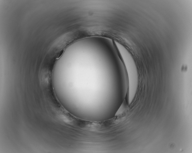 X0000091460125200709061805