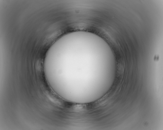 X0000091460126200709061805