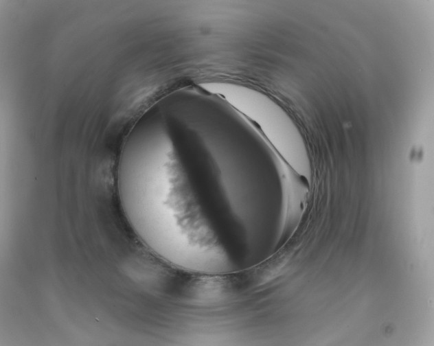 X0000091460127200709061805