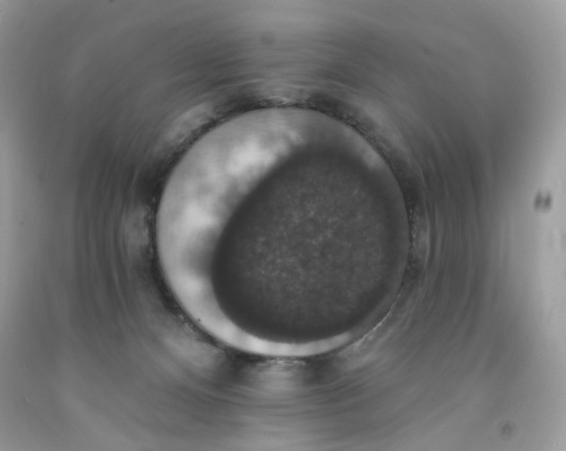 X0000091460128200709061805