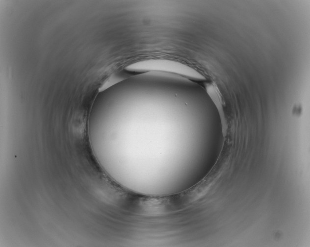 X0000091460129200709061805