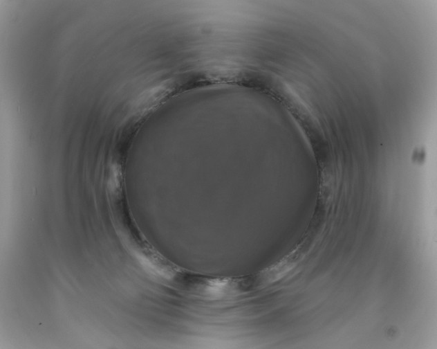 X0000091460130200709061805