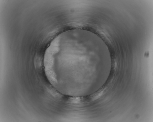 X0000091460131200709061805