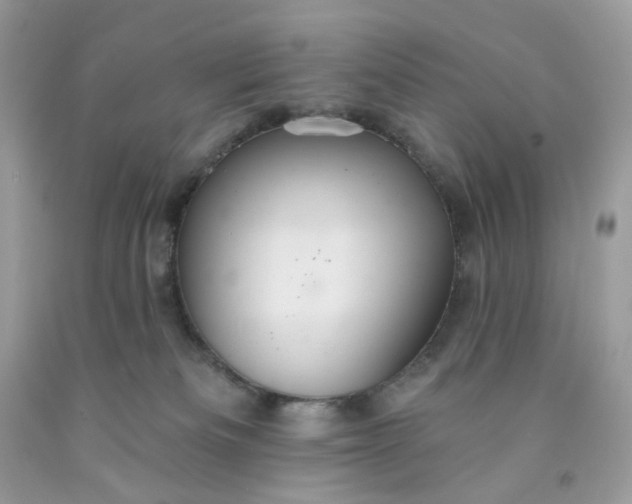 X0000091460133200709061805