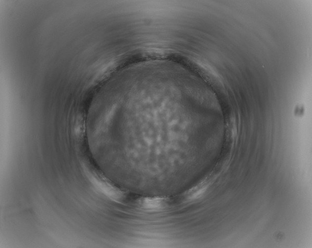 X0000091460134200709061805