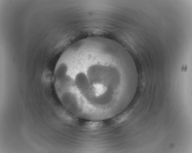 X0000091460135200709061805
