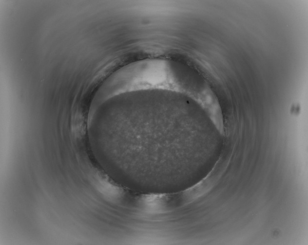 X0000091460136200709061805