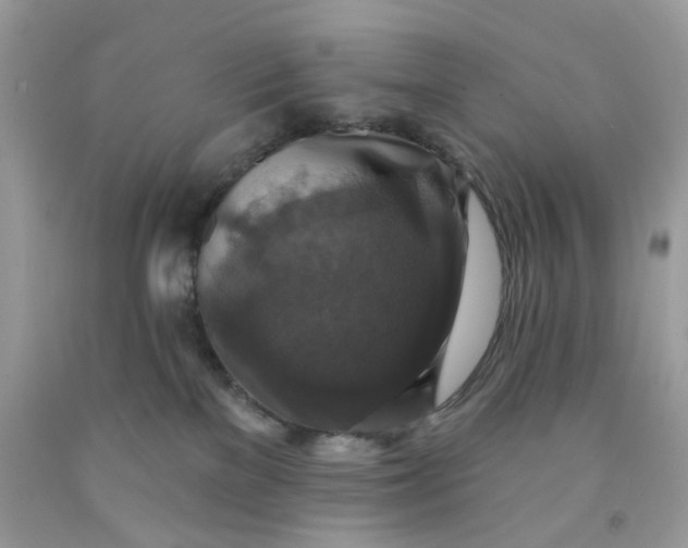 X0000091460137200709061804