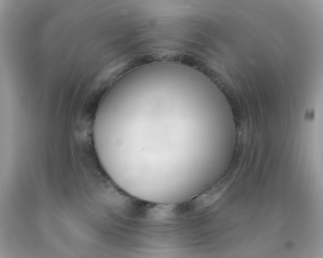 X0000091460138200709061804