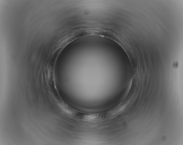 X0000091460139200709061804