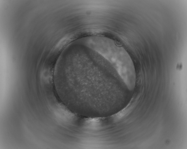 X0000091460140200709061804