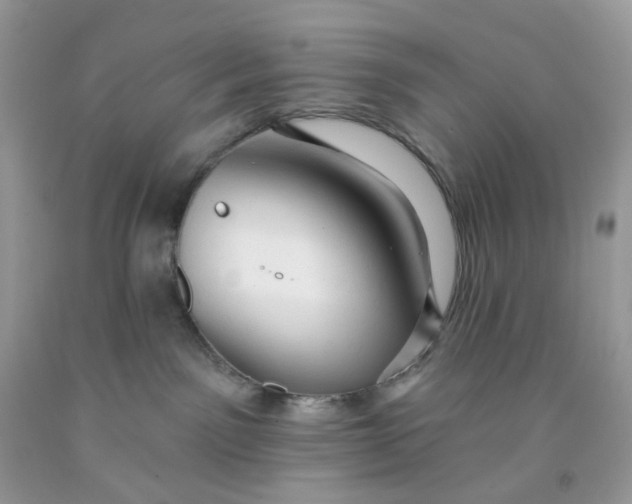 X0000091460141200709061804