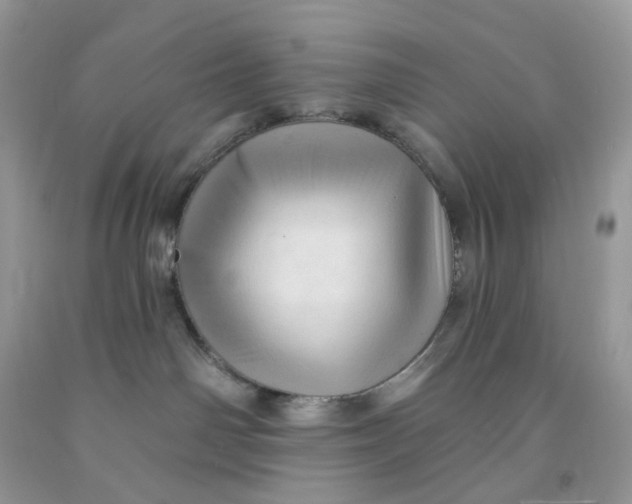 X0000091460142200709061804