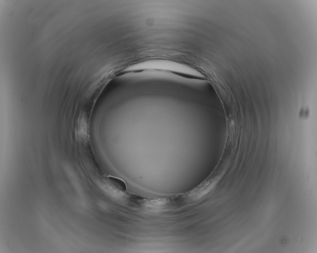 X0000091460143200709061804