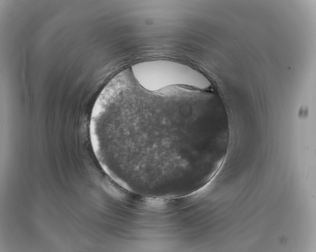 X0000091460144200709061804