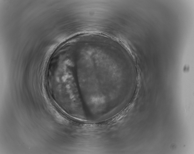 X0000091460145200709061804