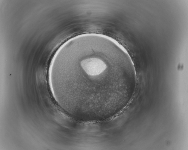 X0000091460146200709061804