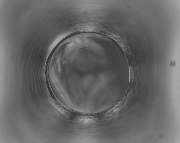 X0000091460147200709061804