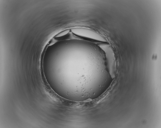 X0000091460148200709061804